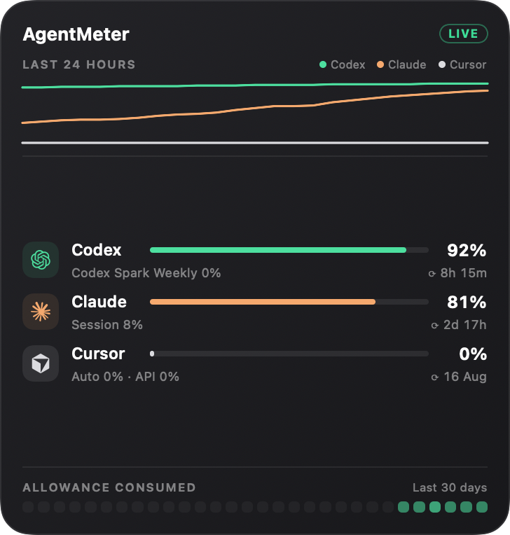 AgentMeter Dashboard widget showing provider rows and a 30-day consumption strip